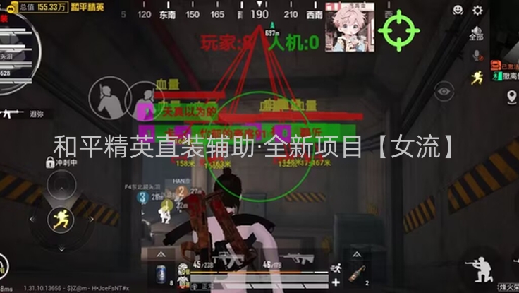 和平精英直装辅助 全新项目【女流】